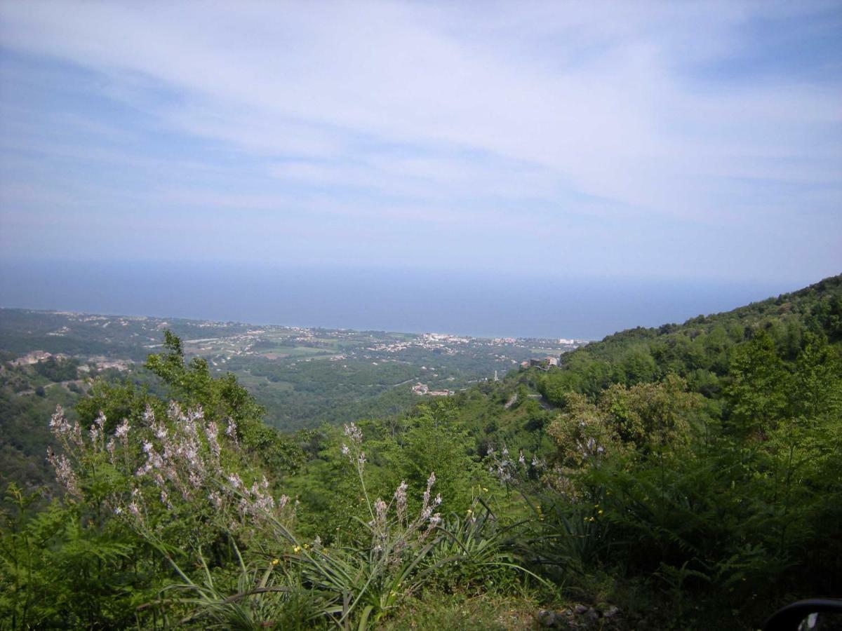 San-Giovanni-di-Moriani Sole E Ventu 50Qm 아파트 외부 사진