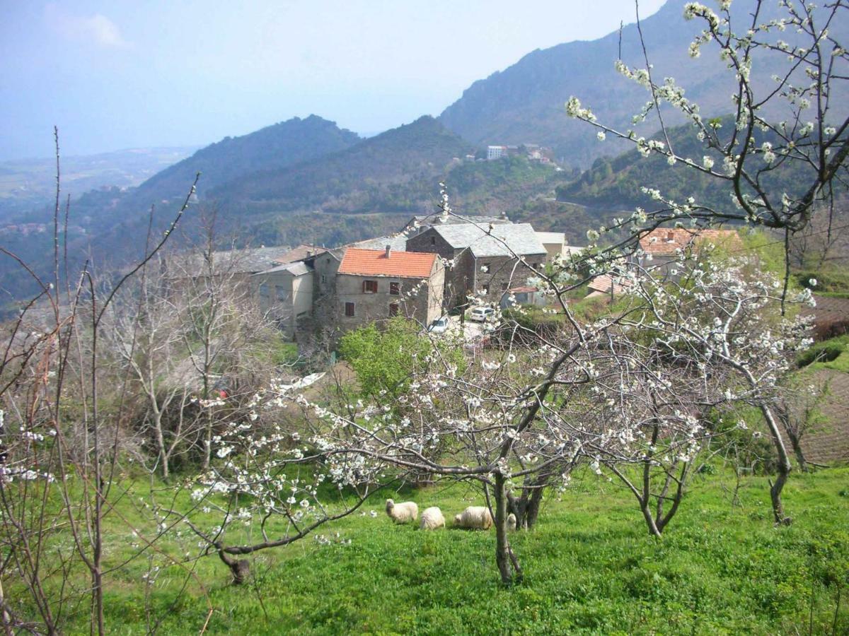 San-Giovanni-di-Moriani Sole E Ventu 50Qm 아파트 외부 사진