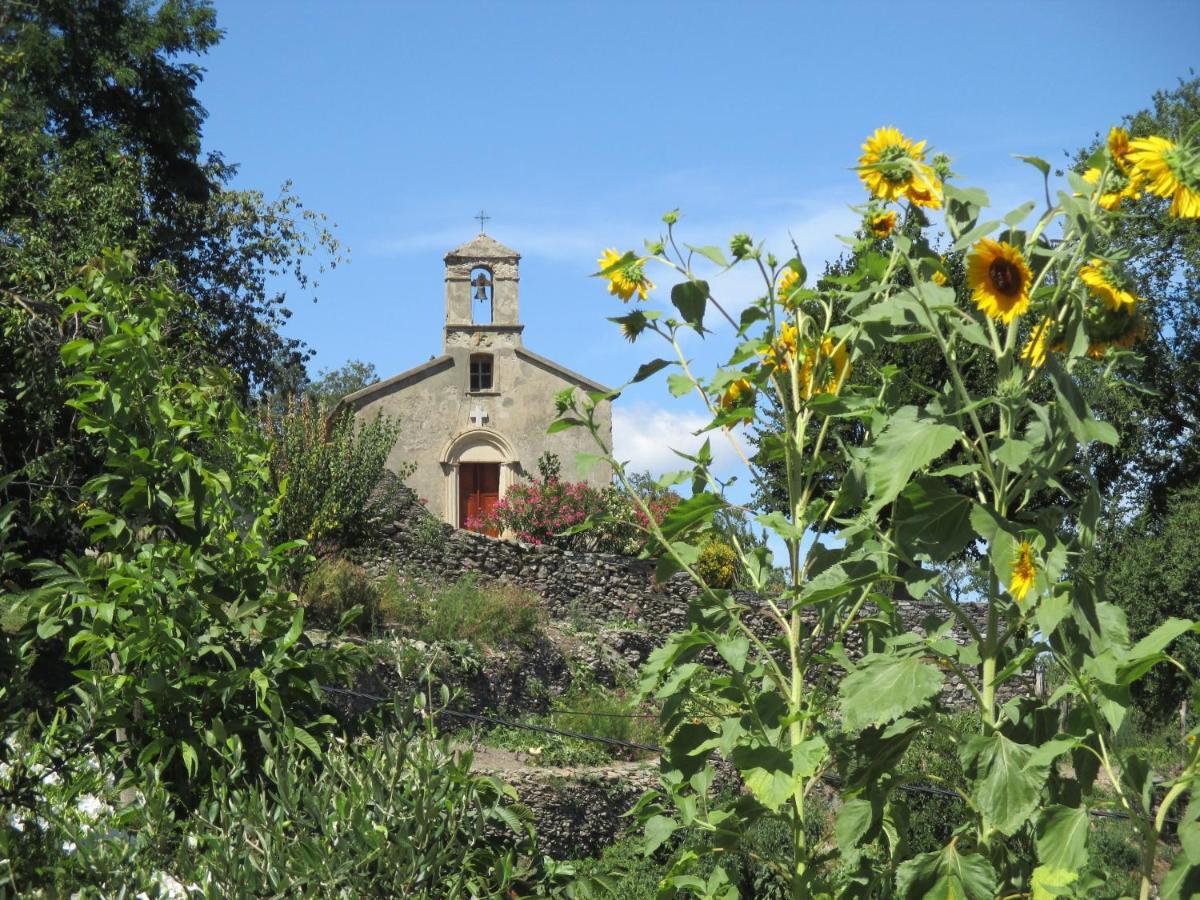 San-Giovanni-di-Moriani Sole E Ventu 50Qm 아파트 외부 사진